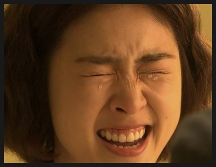 화봄 이미지