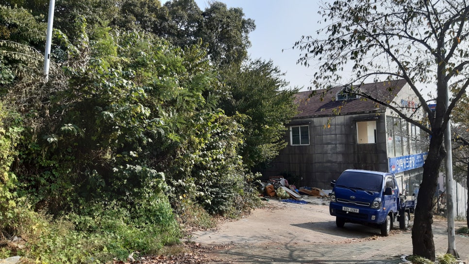 수목개발 이미지