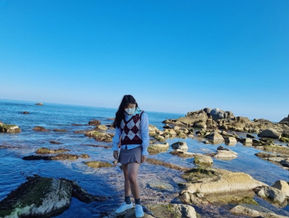 까사콩새 이미지