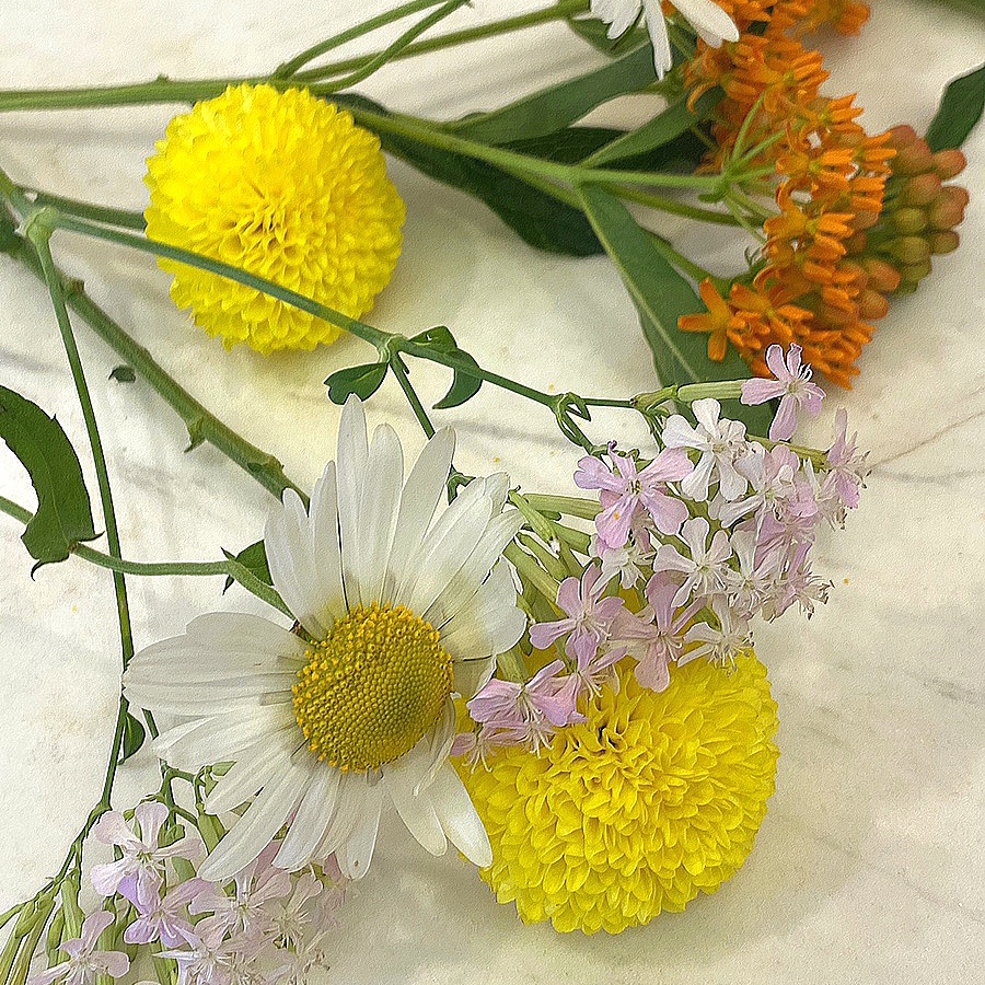 은유의꽃 이미지