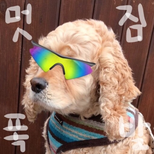 펀키즈유치원 이미지
