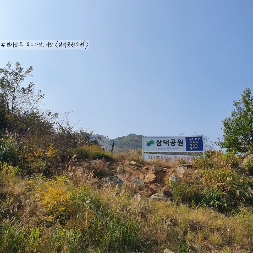 삼덕매점 이미지