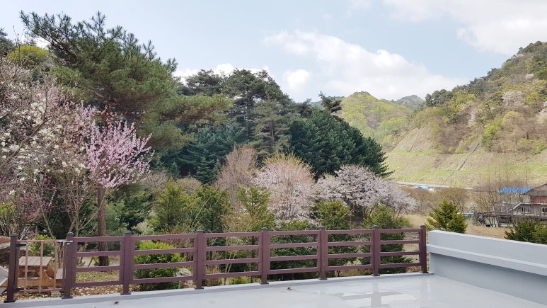 성심단식원 이미지