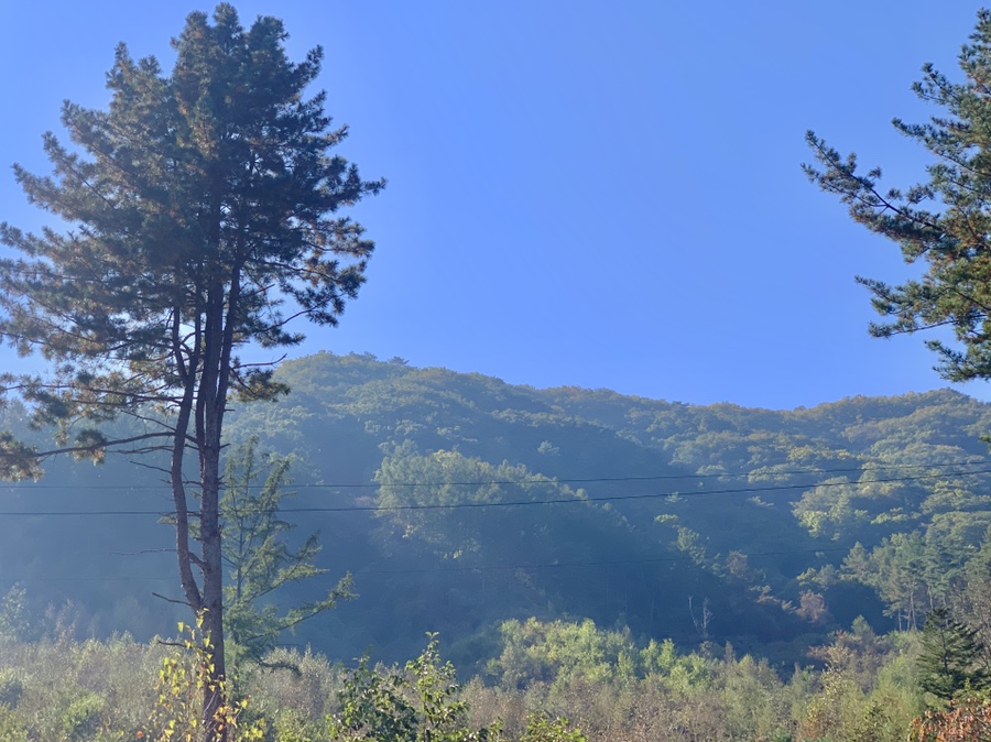 두밀숲캠핑장 이미지