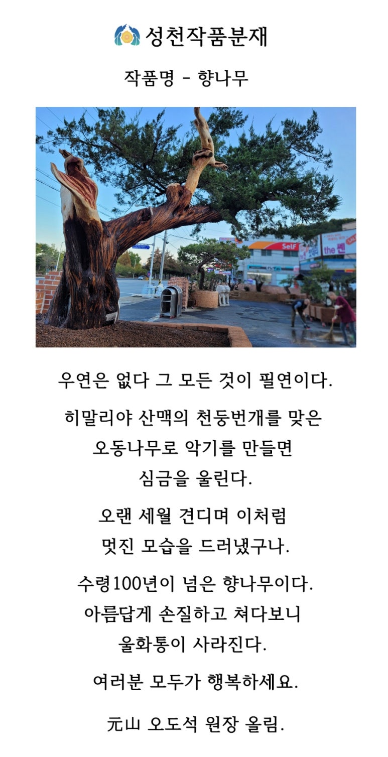 성천분재 이미지