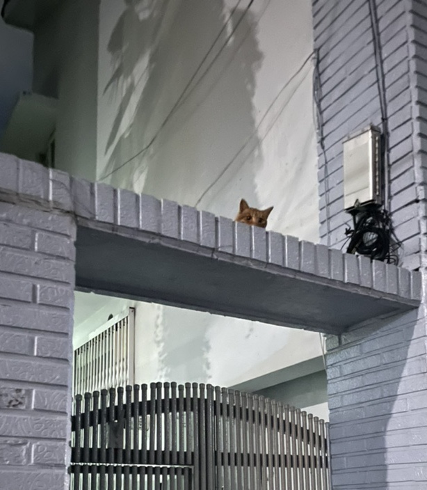 영일축산 이미지