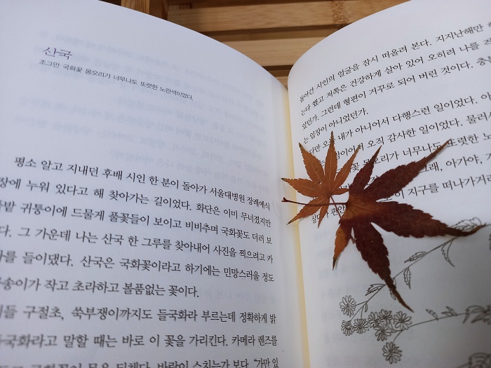 놀다그리다 이미지