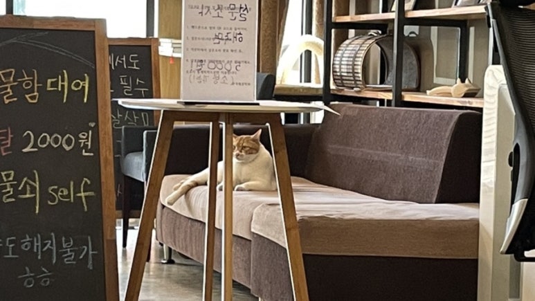 달콤쌉싸롱 이미지