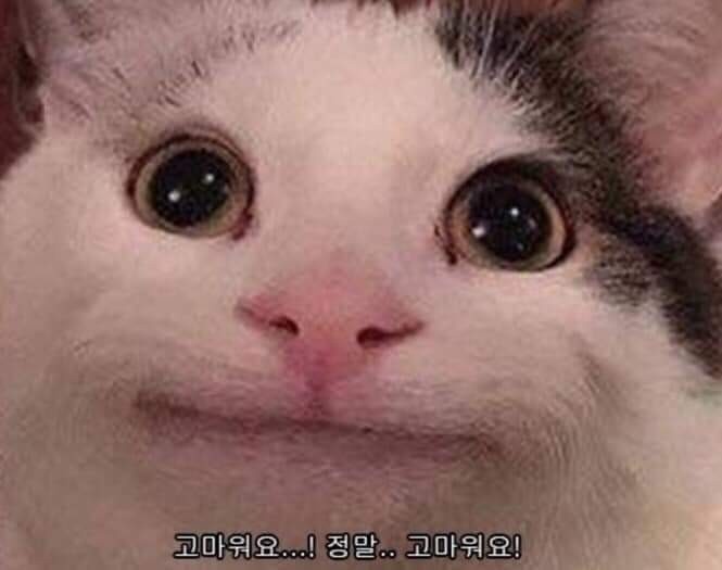 부평양곱창 이미지