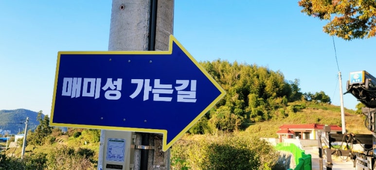 유자썸 이미지
