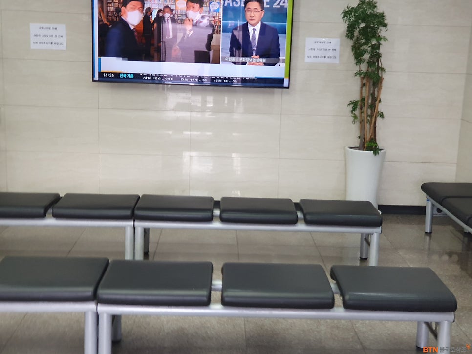춘천상조 이미지