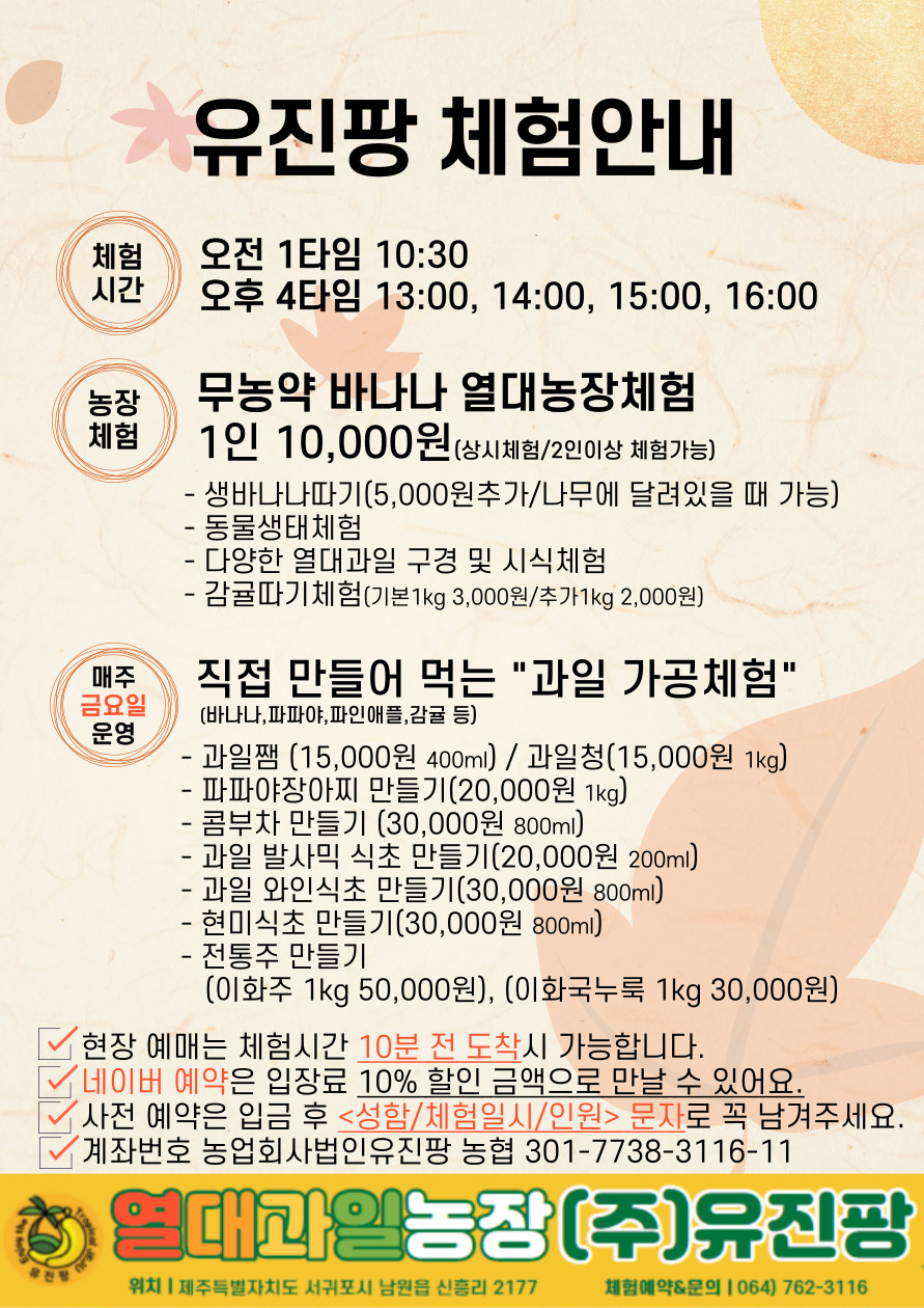 요요어린이집 이미지