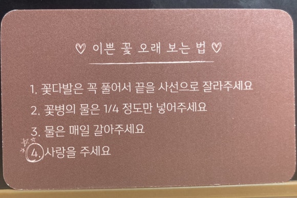 플리블리 이미지
