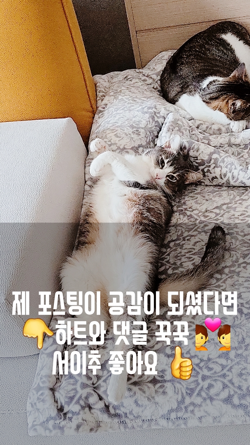 HFC(주) 이미지