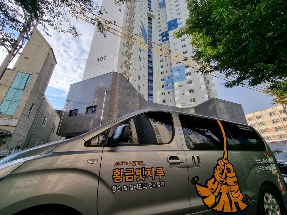 황금빗자루목포 이미지