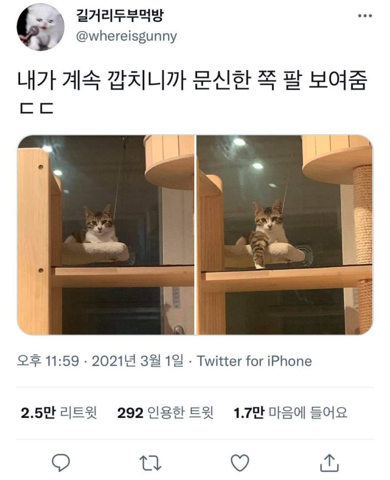 드루와금계찜닭 이미지