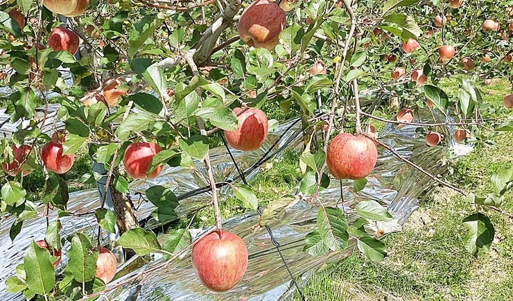 바른에너지 이미지