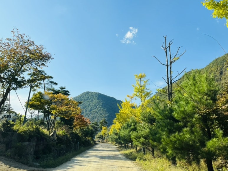 미산가족오토캠핑장 이미지