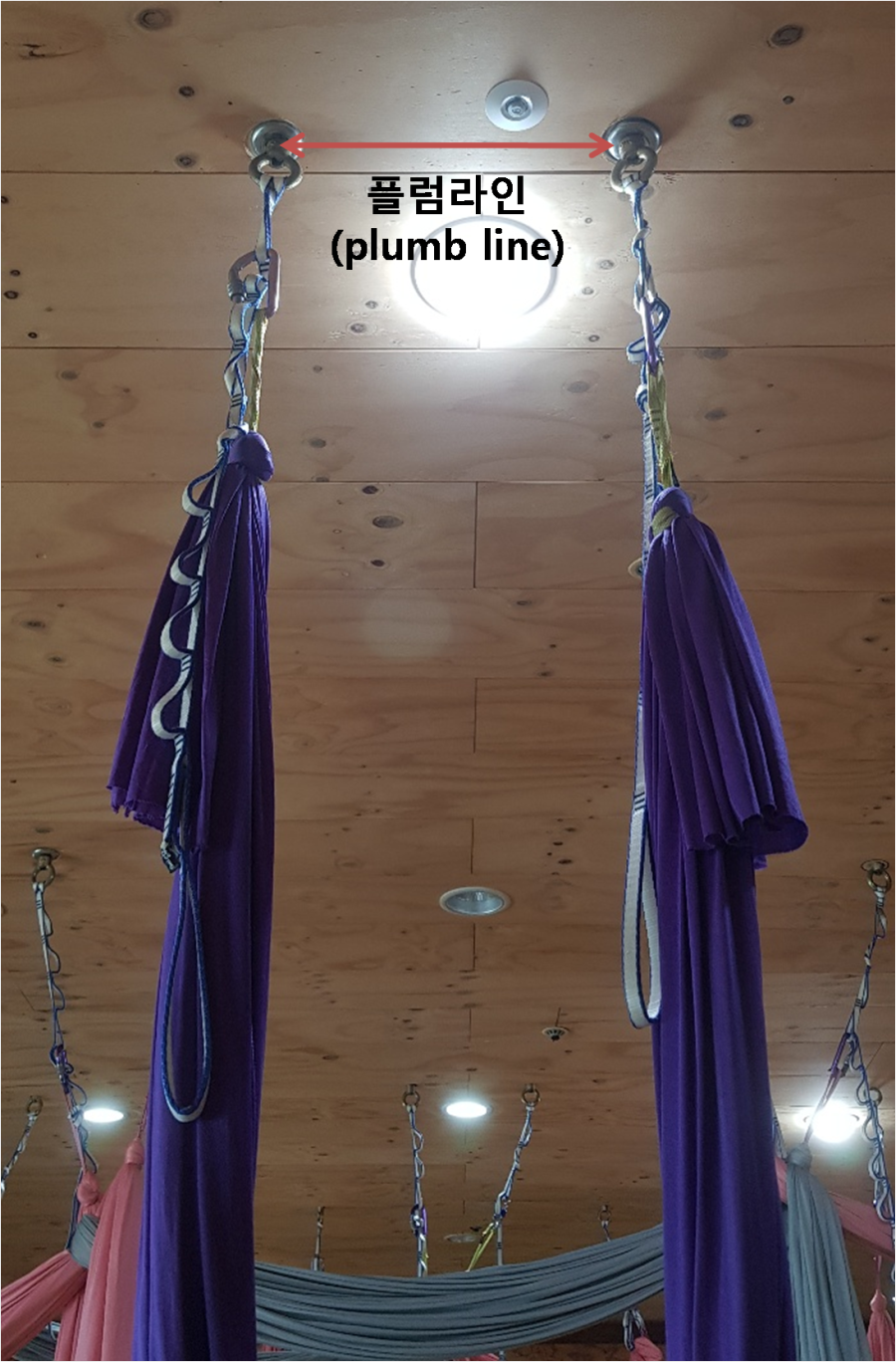 플럼라인 이미지