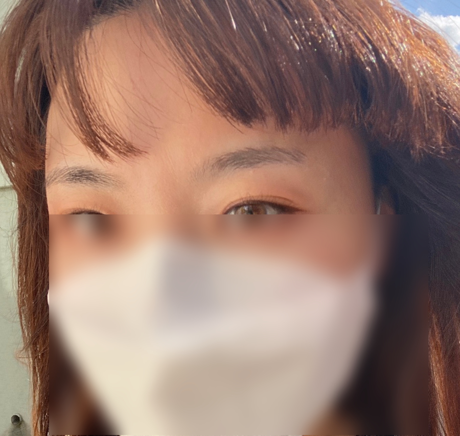 본뉴 이미지