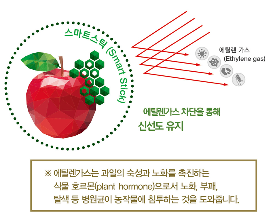 신선가스 이미지
