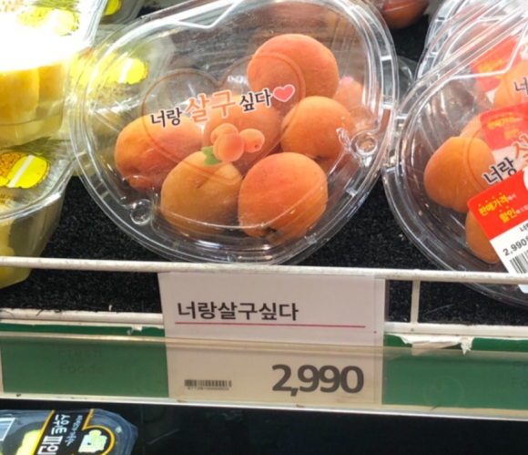 카페비일상 이미지