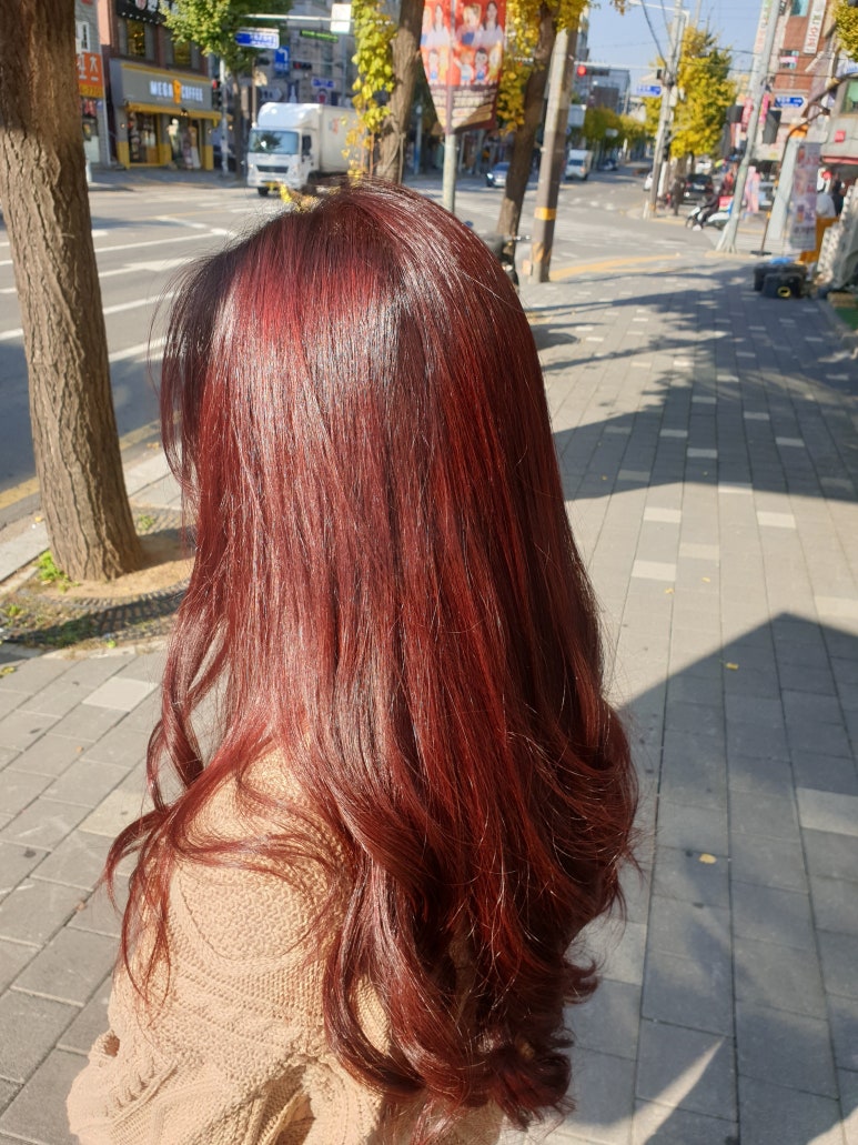 김싸롱 이미지