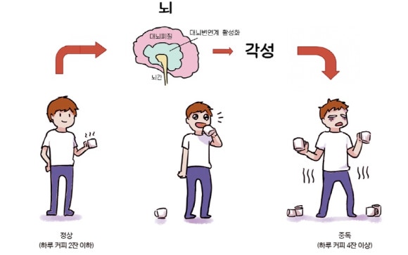 홀릭Holic 이미지