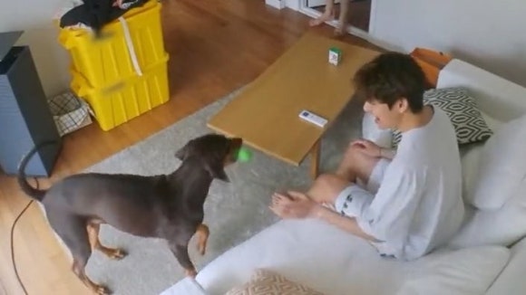 인더시즌 이미지