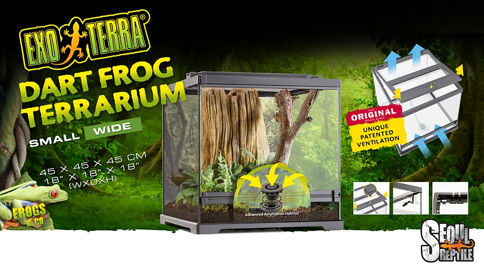 Exo Terra Frogs & Co Frog Terrariums 엑소테라 다트프록&트리프록 테라리움! 배수구 타공 및 관련