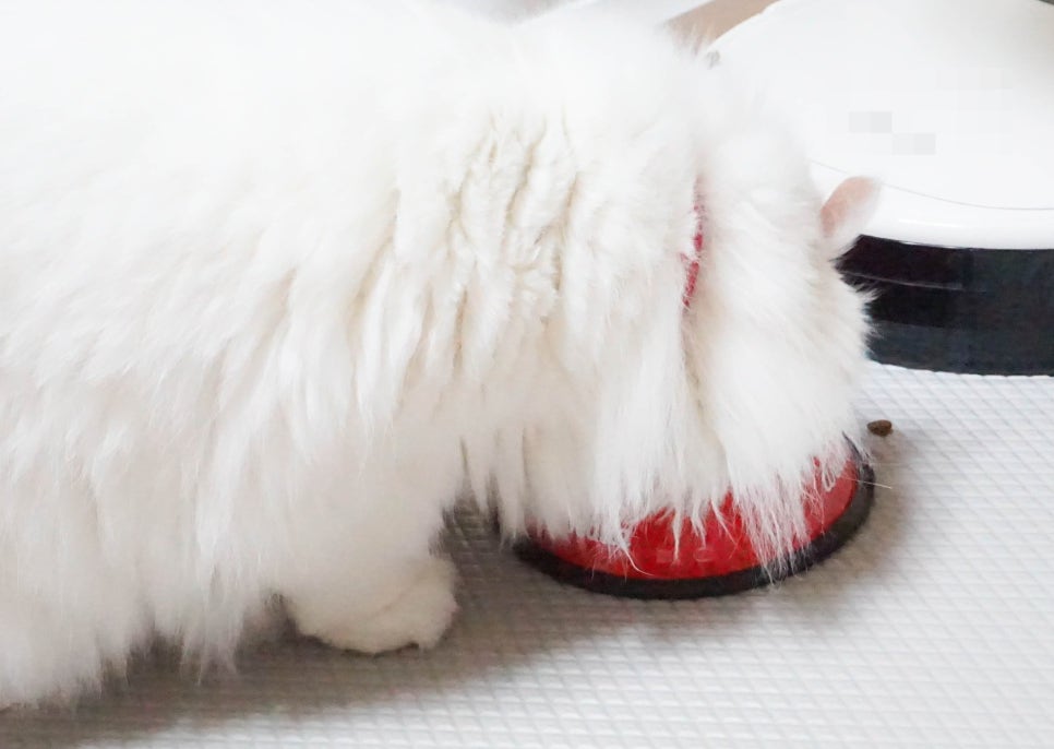 웰츠헤어 이미지