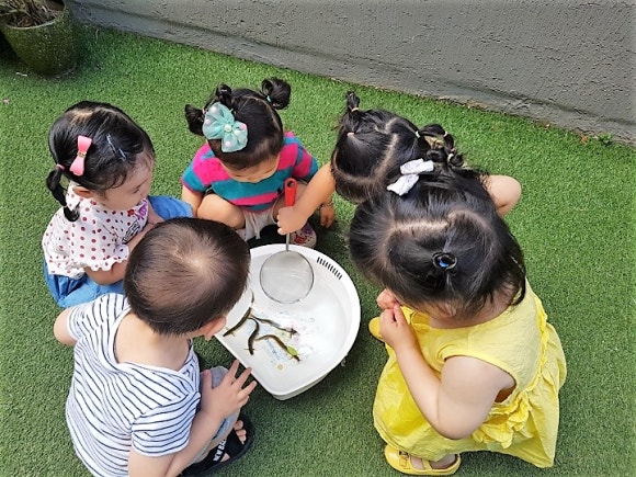 보람유치원 이미지