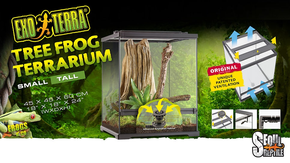 Exo Terra Frogs & Co Frog Terrariums 엑소테라 다트프록&트리프록 테라리움! 배수구 타공 및 관련
