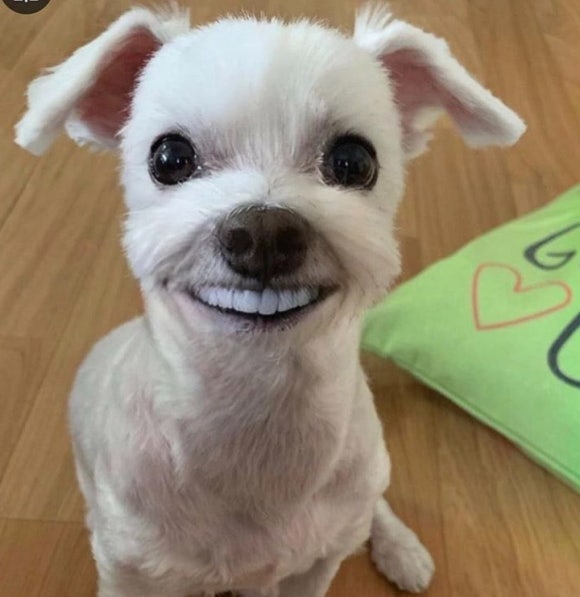 카페비일상 이미지