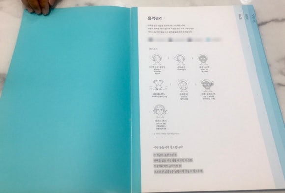 에스테티아세종소담 이미지
