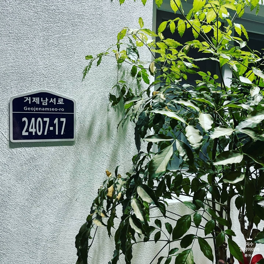 인더썬셋 이미지