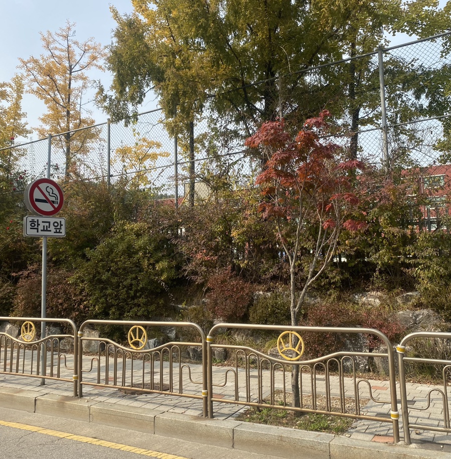 피자스쿨금촌역교차로점 이미지