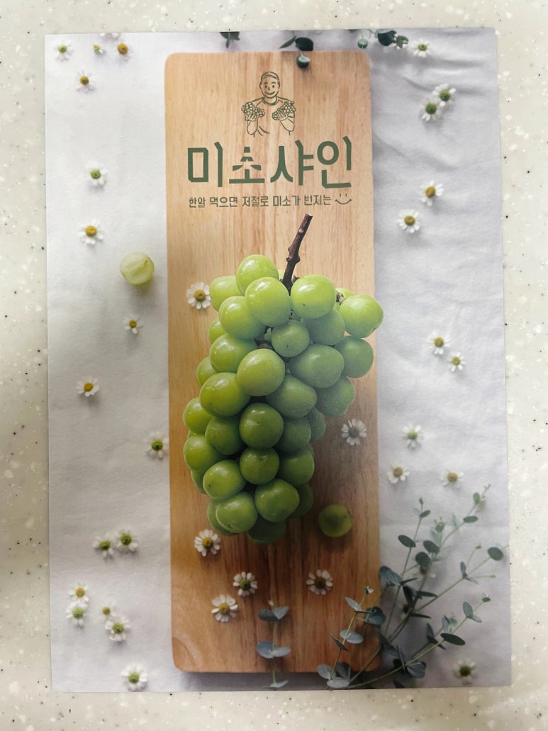 미소와 진땡이 이미지