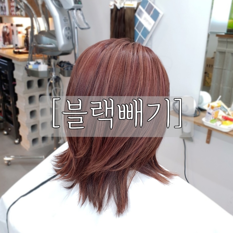 일로헤어 이미지
