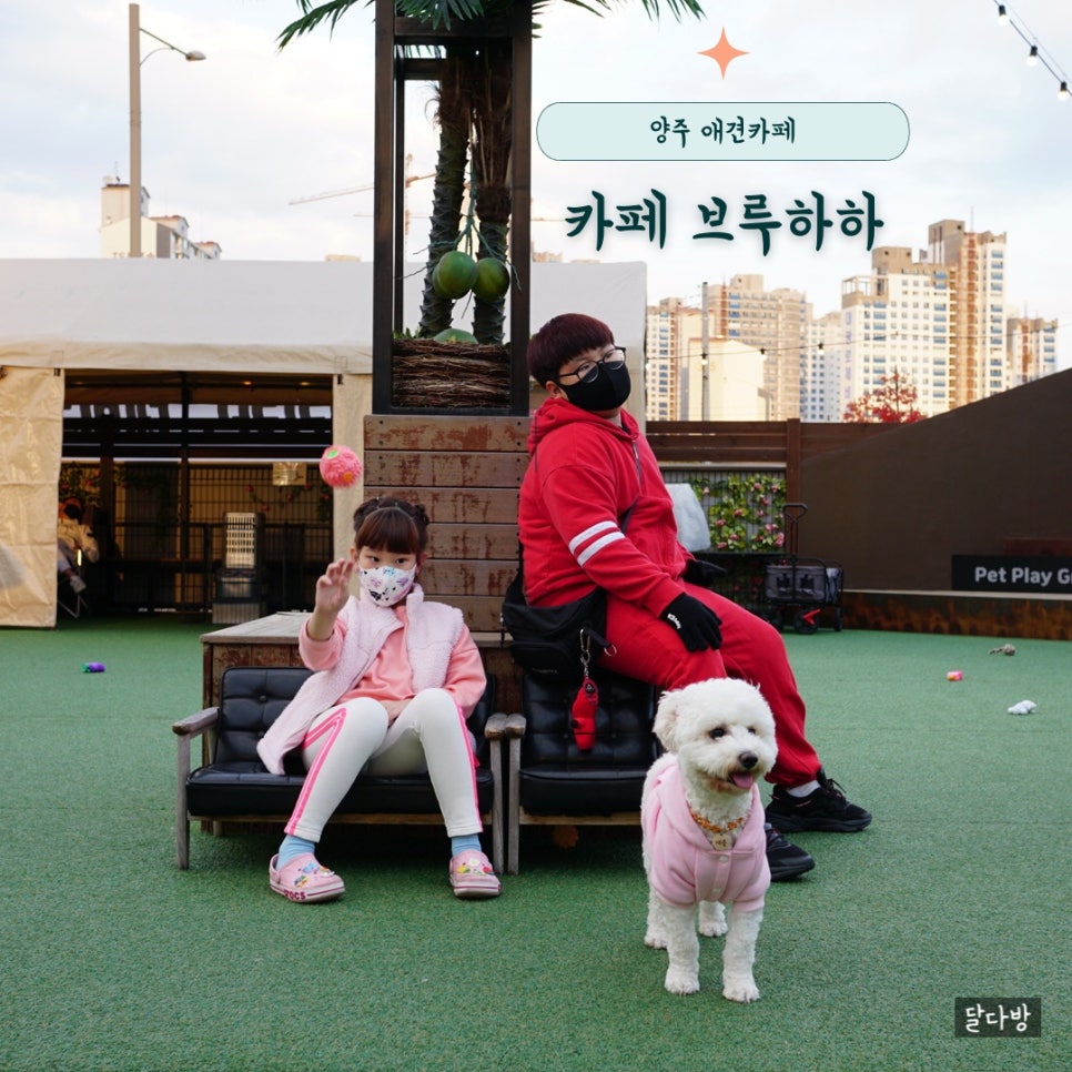 카페브루하하 이미지