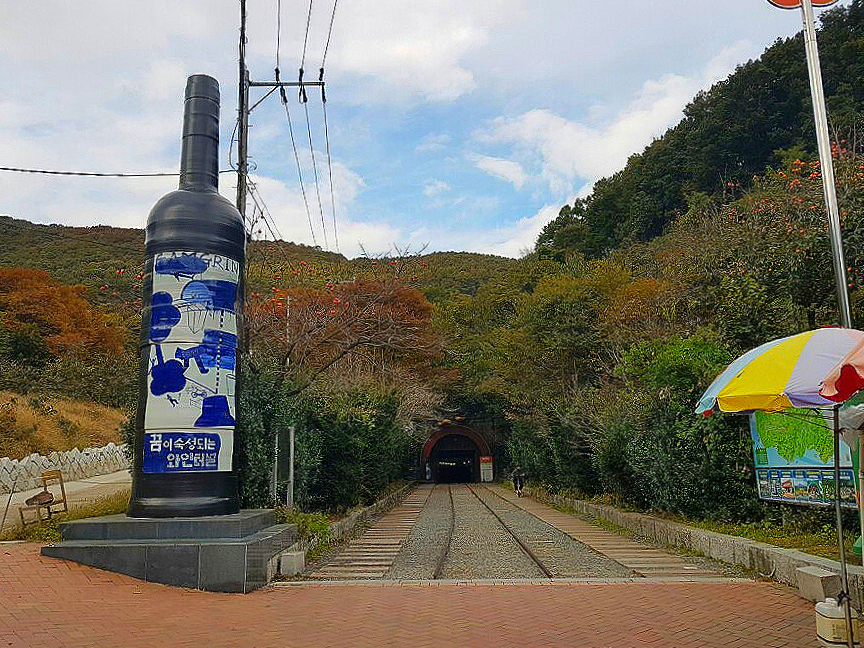 와인나무 이미지