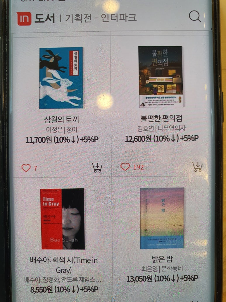 삼월의토끼 이미지
