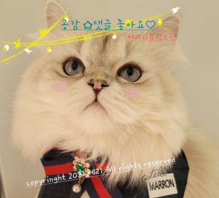 방이소곱창 이미지