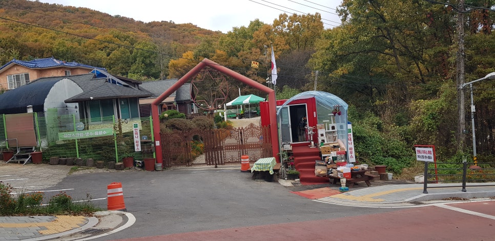 안테나하우스슈퍼 이미지