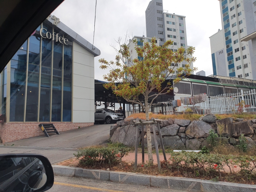 대현셀프세차장 이미지