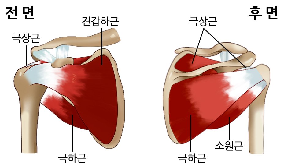 HAHA맞춤운동센터 이미지