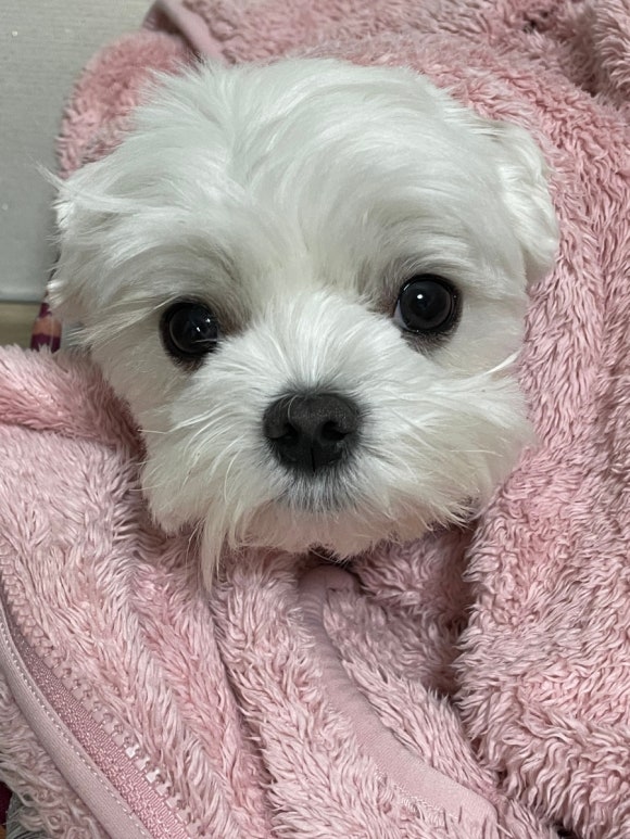 카페퉁이 이미지