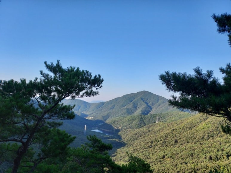배당소 이미지