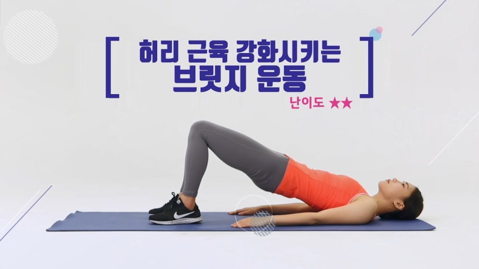 브릿지 이미지