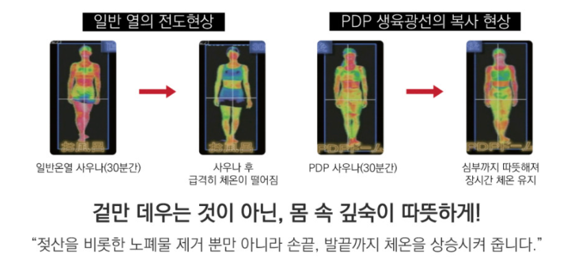 바이오포톤 이미지